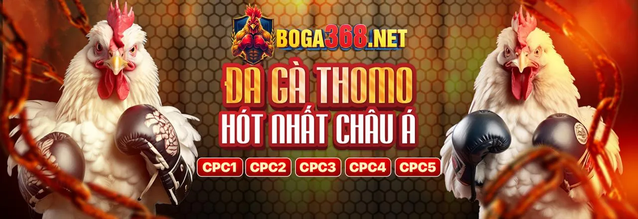 Đá Gà AE8VIP - Sân Chơi Trực Tuyến Hàng Đầu 2026